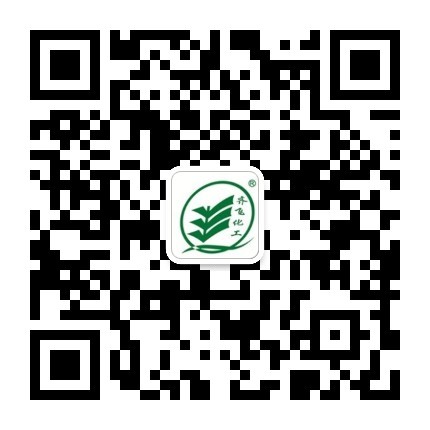 麻豆三级电影